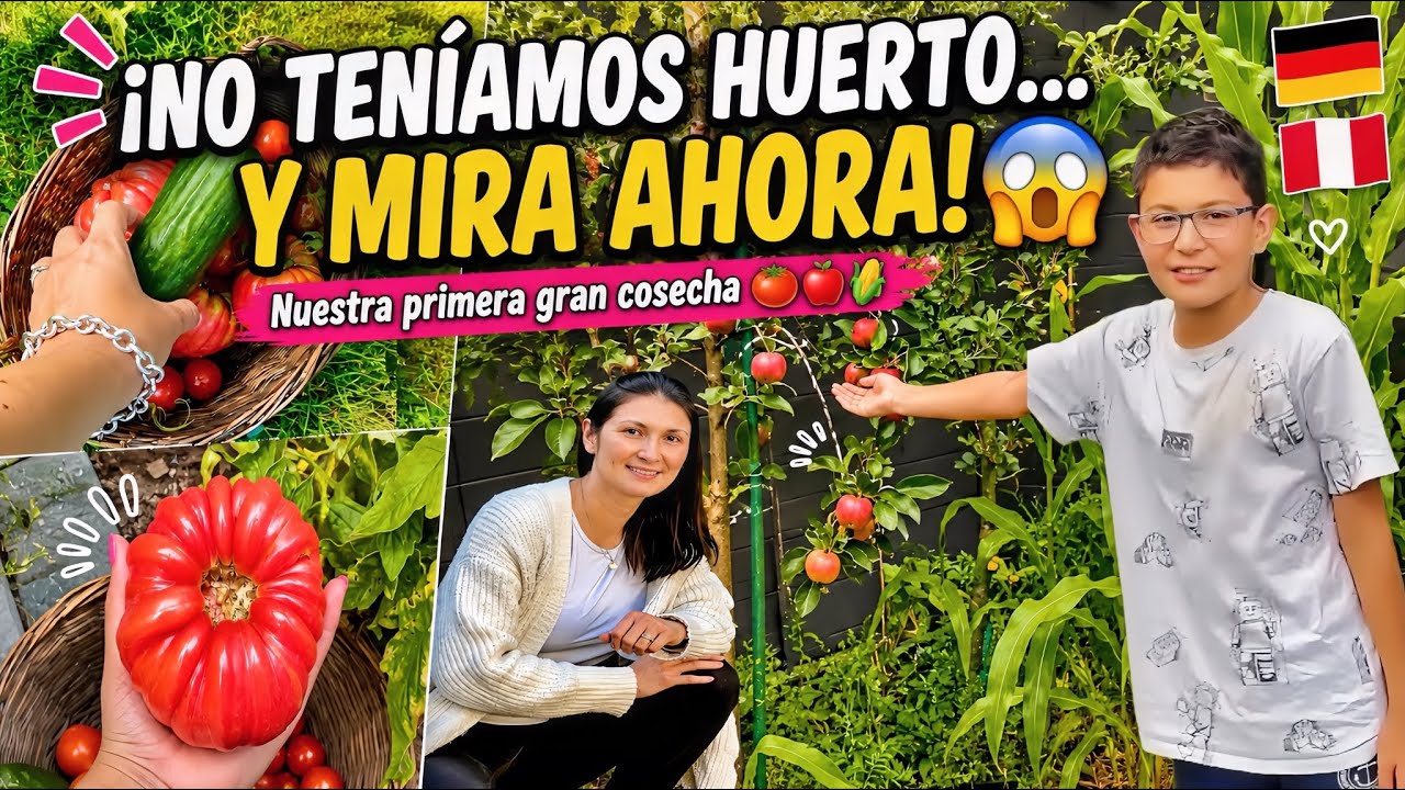 ¡Huerto Orgánico en Alemania! 🇩🇪  | Cosechando Frutas y vegetales 🥰  | Shirley Tocic