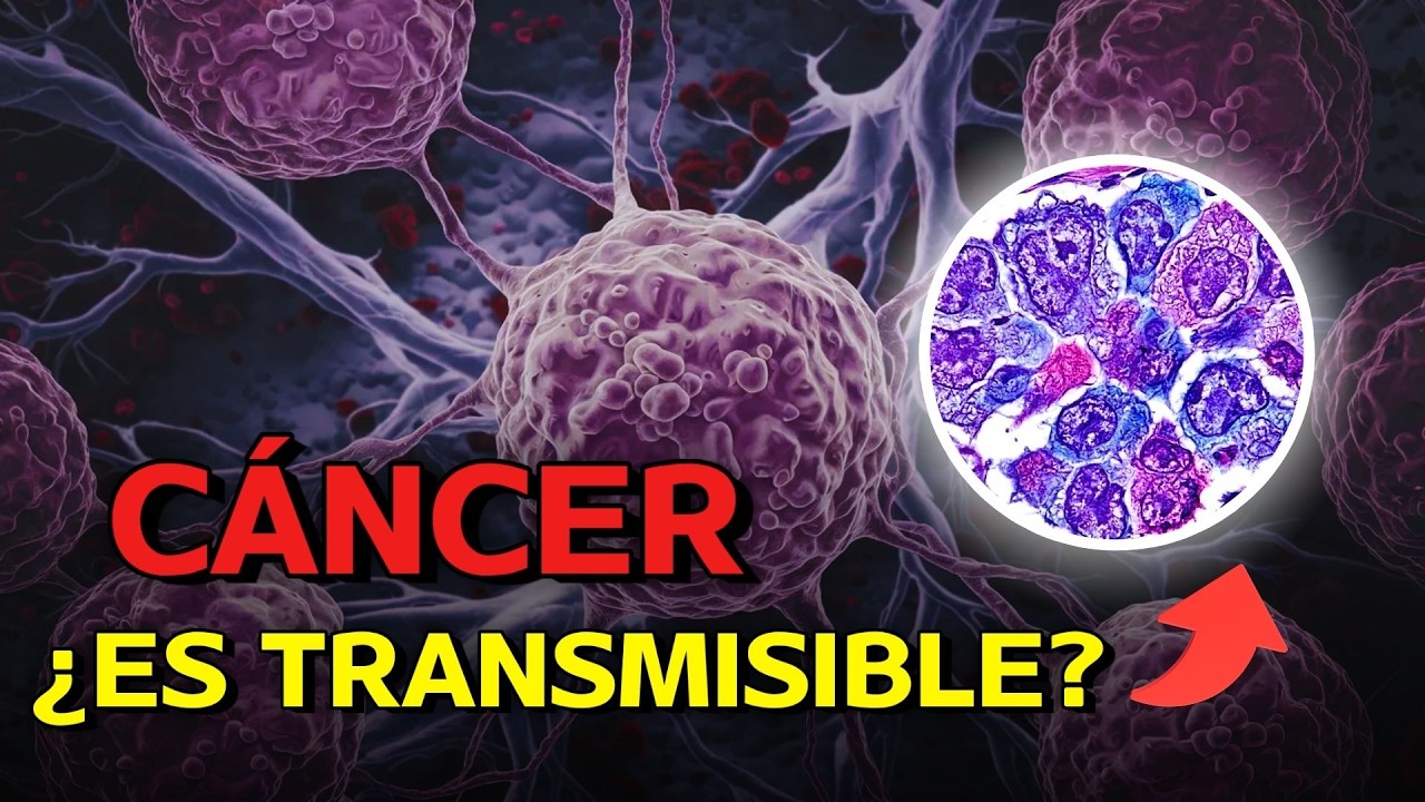 ¿Es posible CONTAGIAR el CÁNCER? 🦠