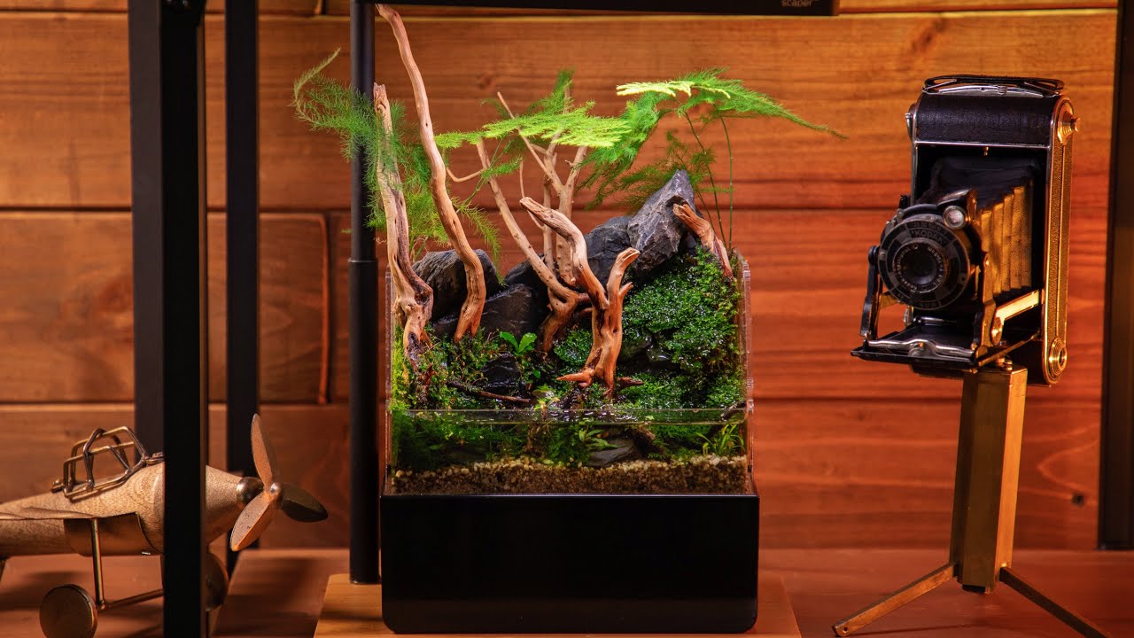 Building THE WORLD'S SMALLEST paludarium