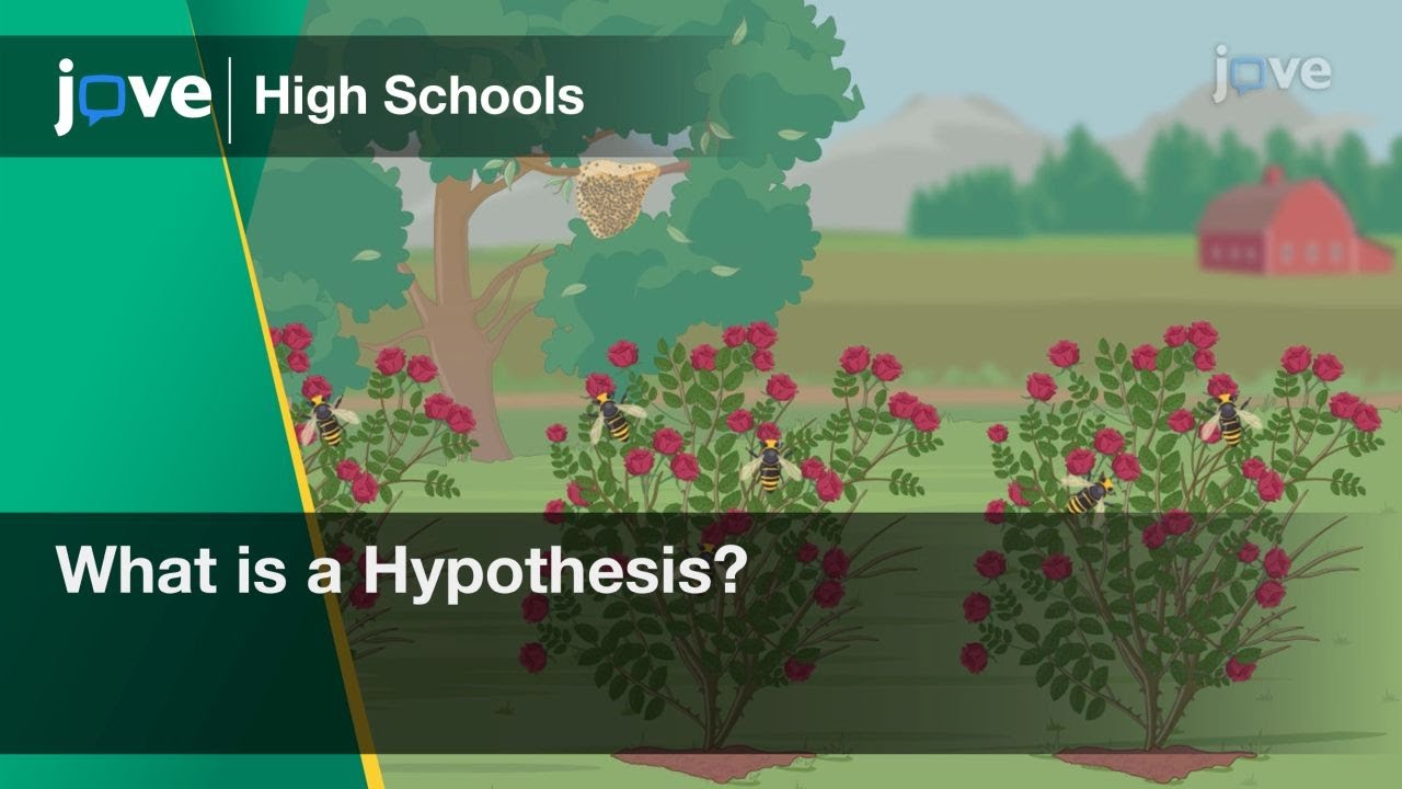 What is a Hypothesis? | Statistics | Video Textbooks - Preview