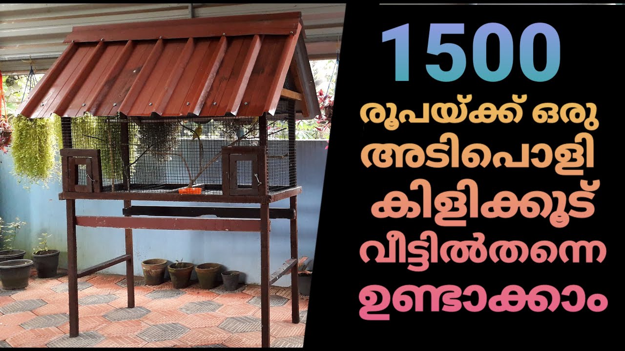 How to make a DIY bird cage at home | for Budgies,Finches,Chicken etc | techNpets