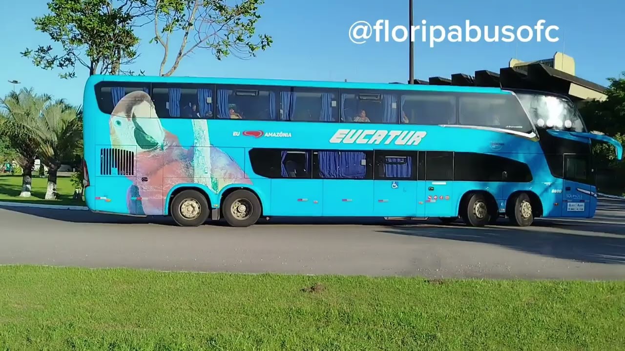 Movimentação de ônibus, rodoviária de Florianópolis,23/01/2026 , começando bem o ano....