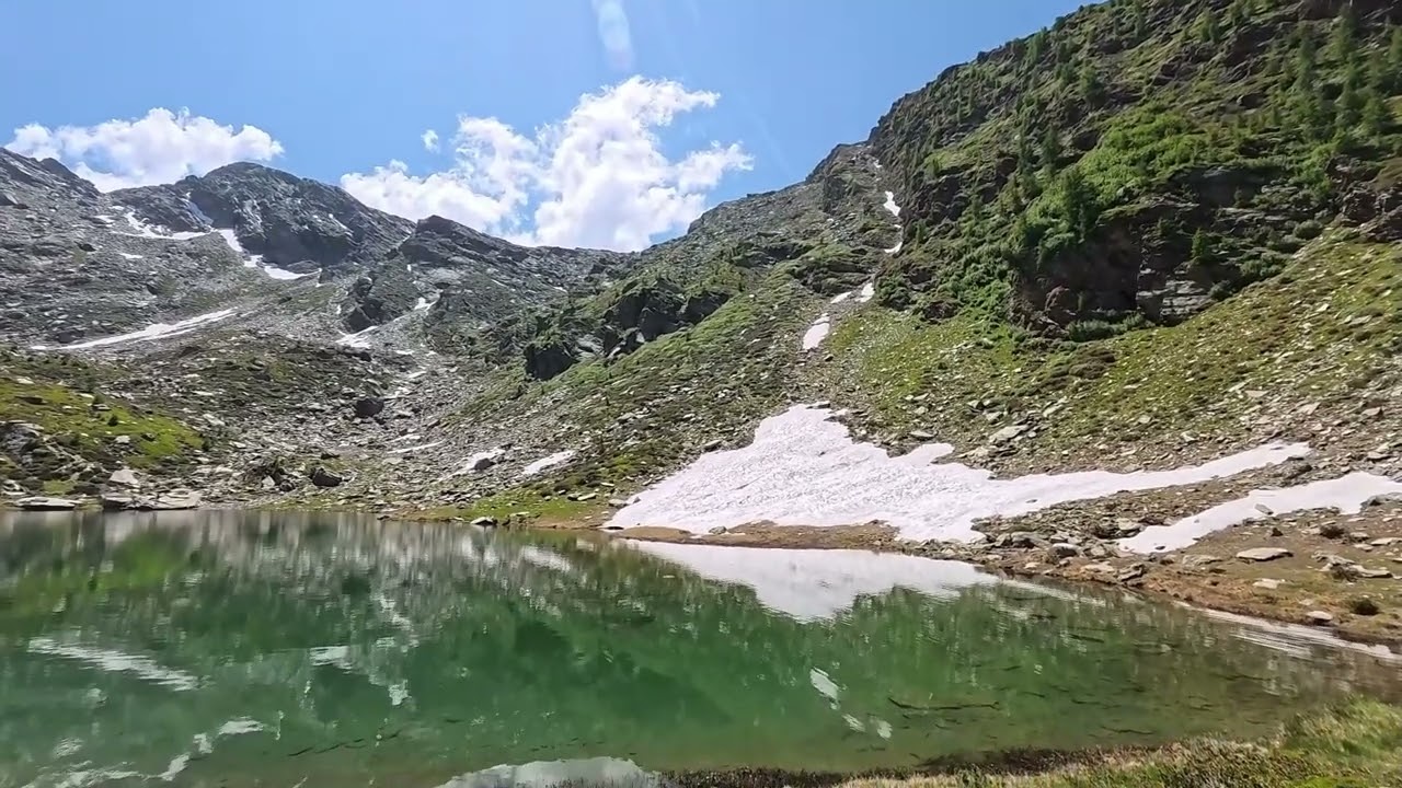 LAC ,CIAPLE' RODODENDRI DLA VALGERMANASCA
