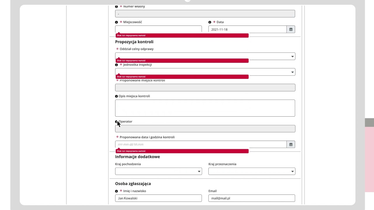 Jak skorzystać z Single Window na Platformie Usług Elektronicznych Skarbowo-Celnych (PUESC)?