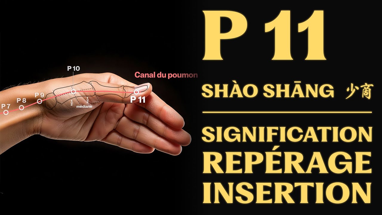 Point d'acupuncture : P 11 (shào shāng 少商) signification, repérage, insertion