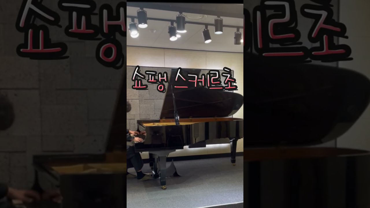 선화예중2 실기준비영상 쇼팽 스케르초 1번 / Chopin Scherzo no.1 (14years)