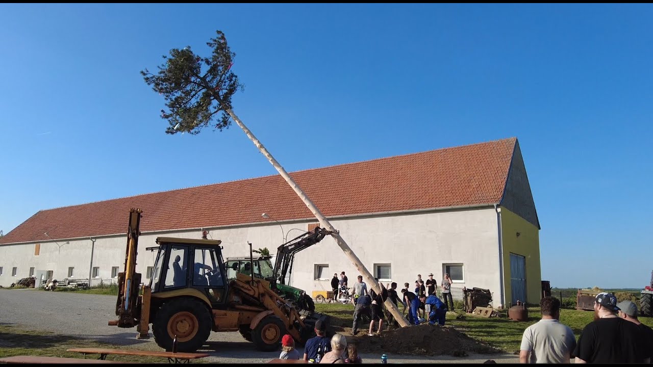 Maibaum aufstellen Ringelsdorf 2024 (Weinviertel) - #brauchtum #1.mai #maibaum #tothehilt #krupps
