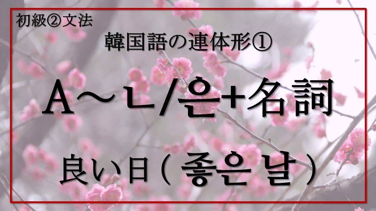 【韓国語ー初級②】韓国語の連体形💞形容詞-ㄴ/은・存在詞-는・指定詞-ㄴ/인