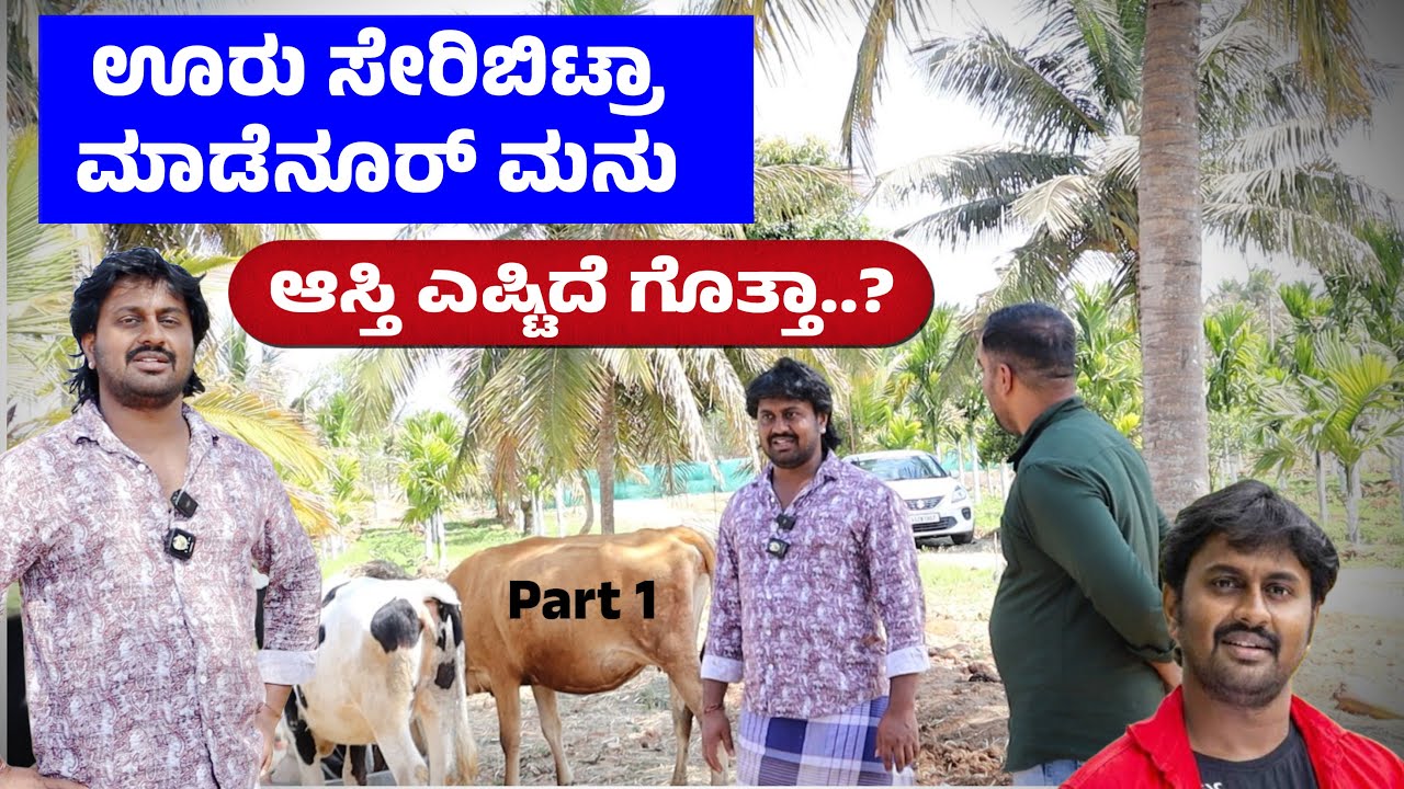 ಮಡೆನೂರ್ ಮನು ದು ಆಸ್ತಿ ಎಷ್ಟಿದೆ ಗೊತ್ತಾ..? | Madenur Manu Interview | Part 1 | actor Madenur Manu