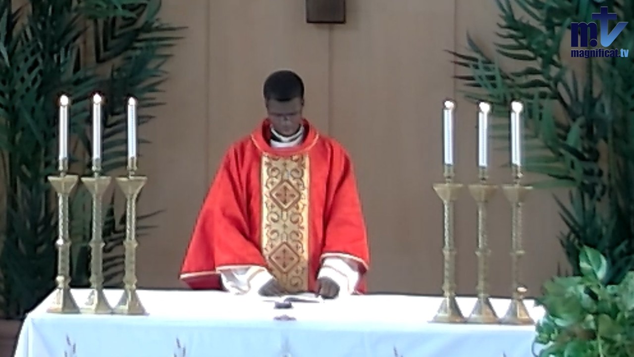 Messe du jour | Dimanche des Rameaux et de la Passion du Seigneur | 29-03-2026 | P. Sylvestre B. FM