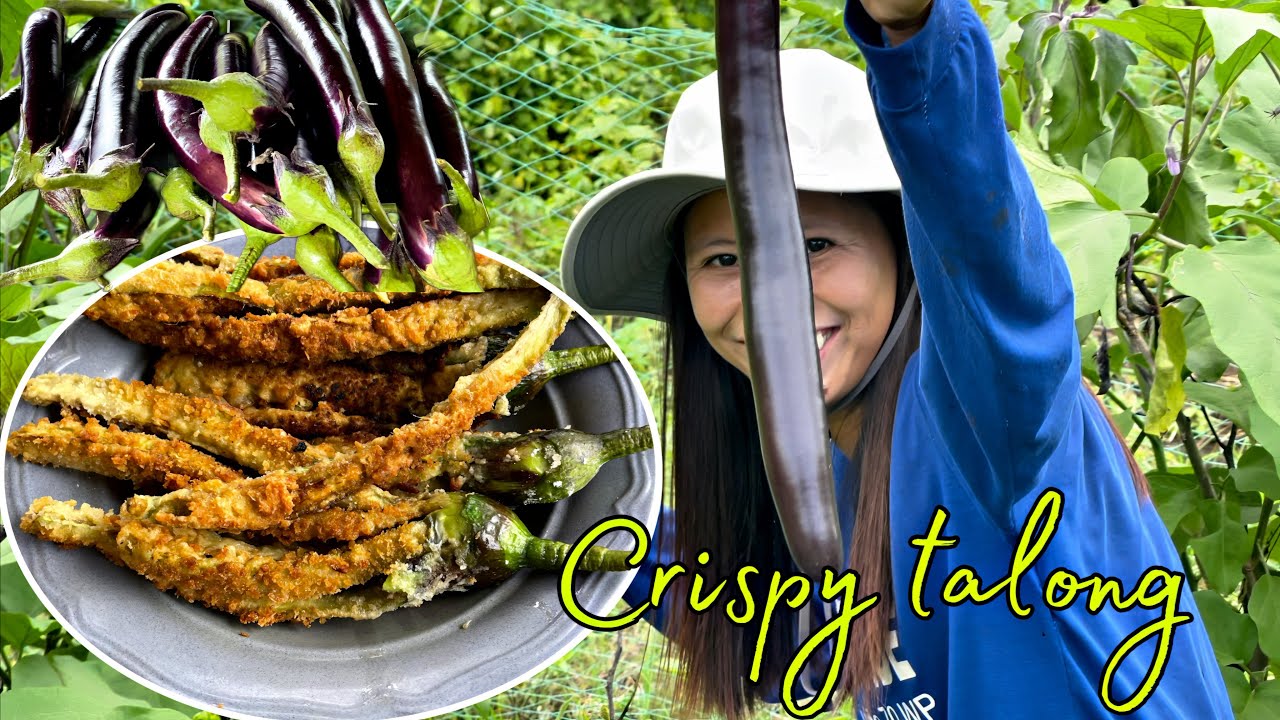 Naglinis kami sa aming  fishpond | crispy talong at monggo sa pananghalian | Buhay Probinsya