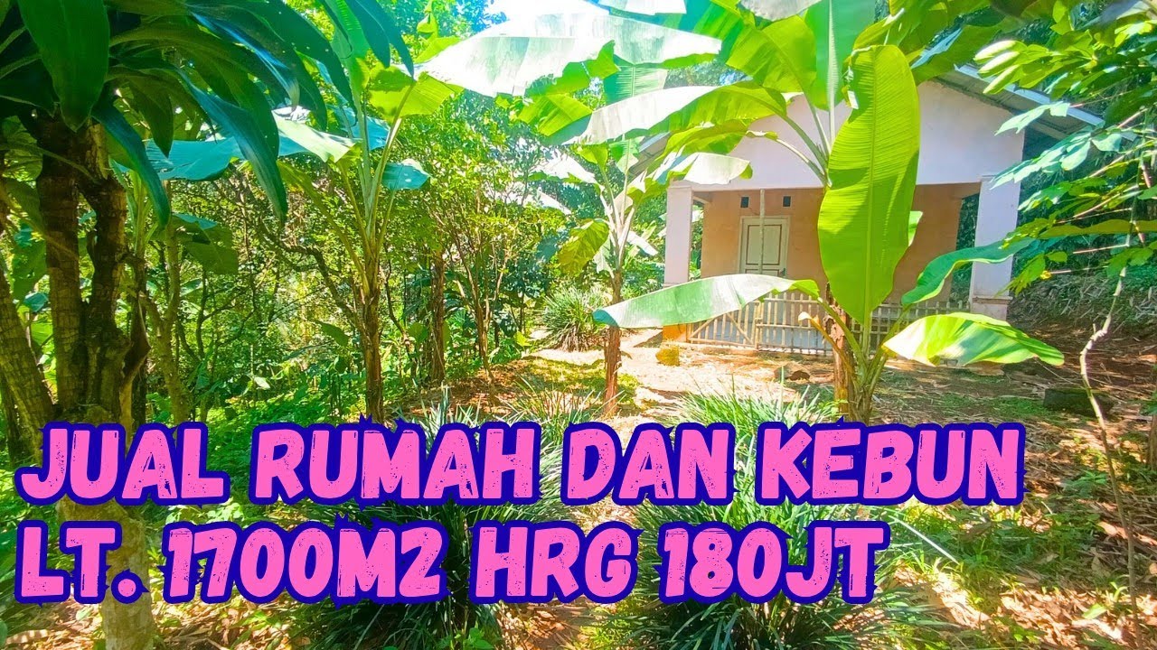 (Terjual) JUAL TANAH KEBUN DAN BANGUNAN RUMAH LT.1700M HRG 180JT