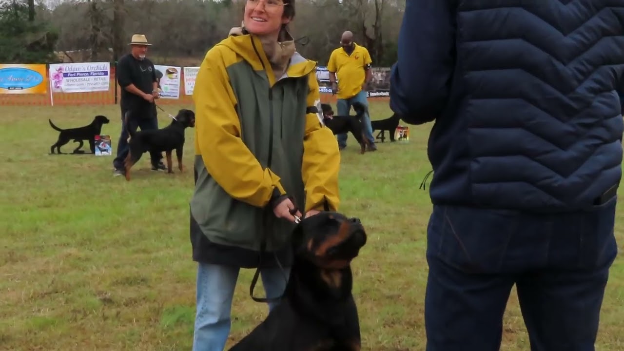 2026-Feb-28 - Neonash haus des Beschutzers (SG4) & Tom v Hartenkern (SG3)