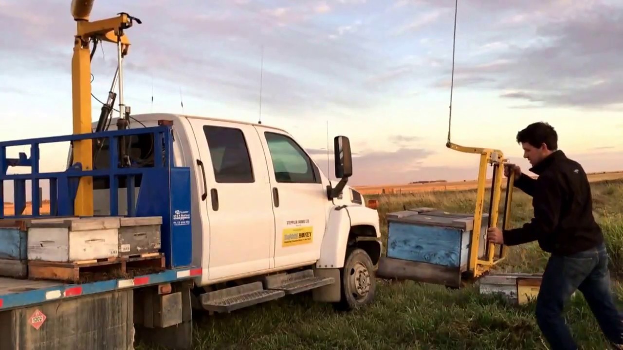 Moving hives with an Ezyloader- a Canadian Beekeeper’s Blog