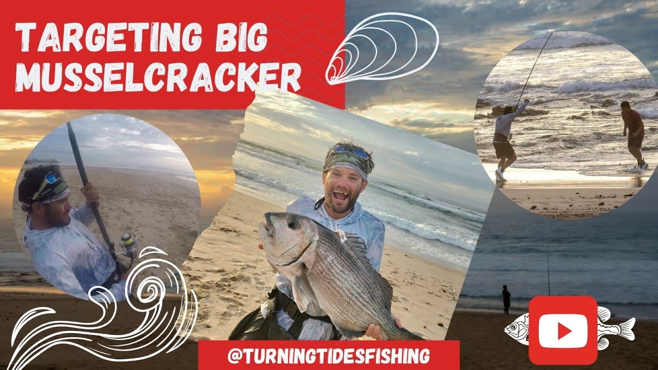 TARGETING BIG MUSSELCRACKER!!