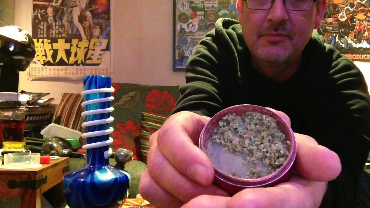 Cat Piss SSH strain review.