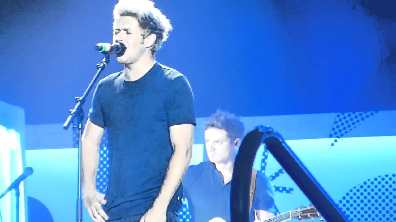 18 - One Direction Live in Detroit - On The Road Again Tour