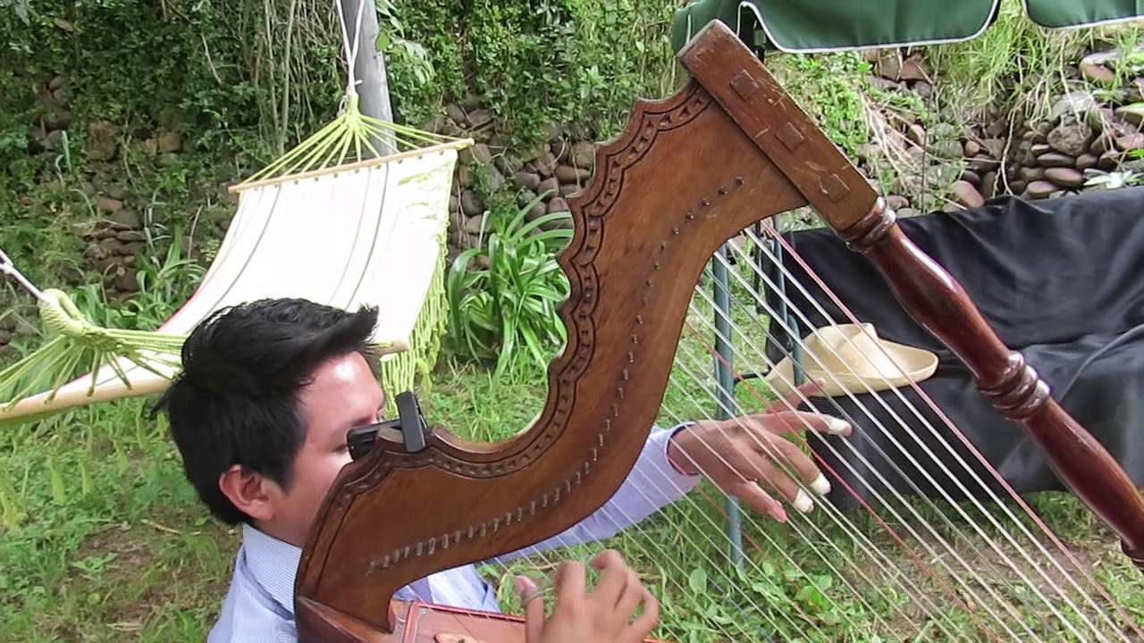 MVI 2108 Albahaca planta con el arpa de Otoniel CCayanchira Jr