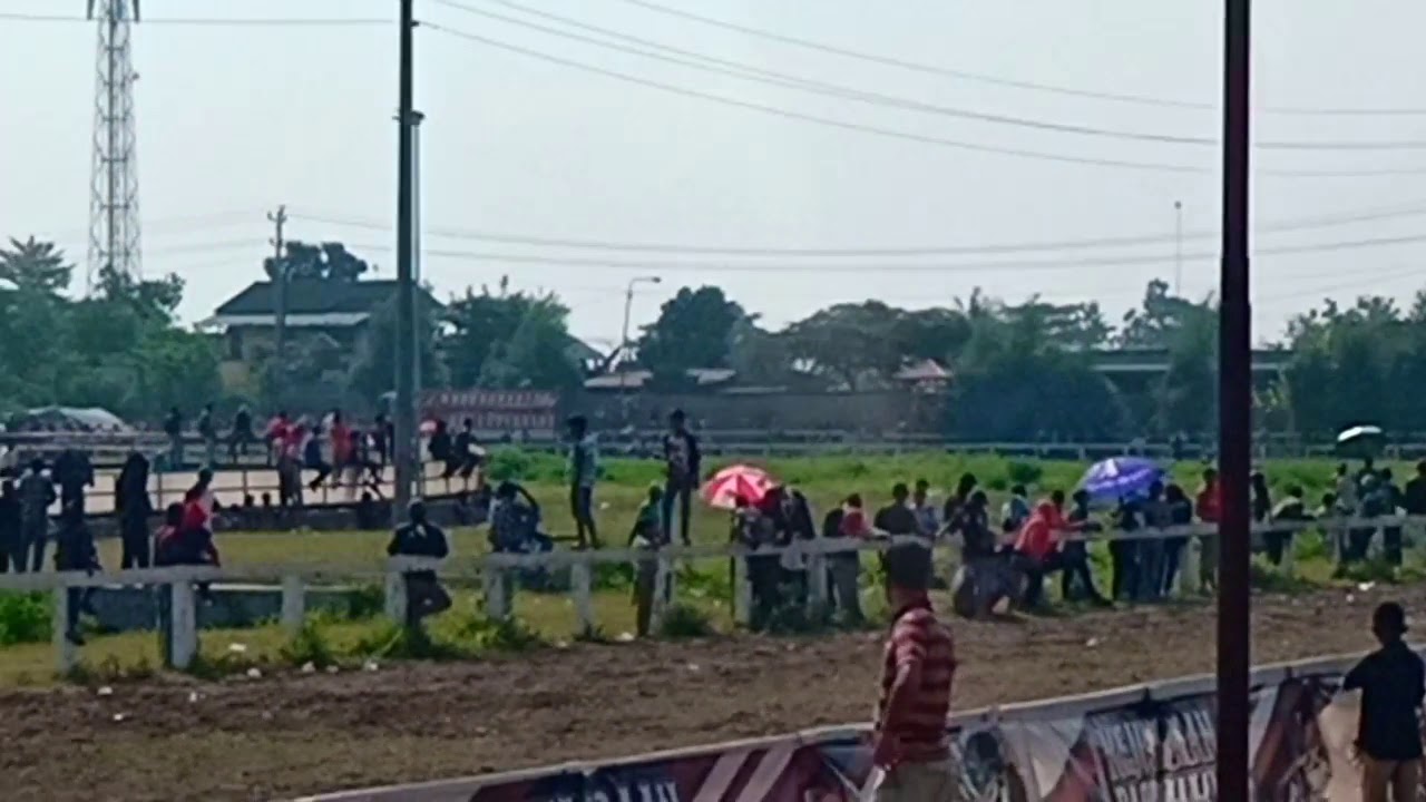 PACUAN KUDA PAKU ALAM CUP VII 2019 || kelas 3 tahun Derby 1600m PESONA CEWANG,CAHAYA ASMARA