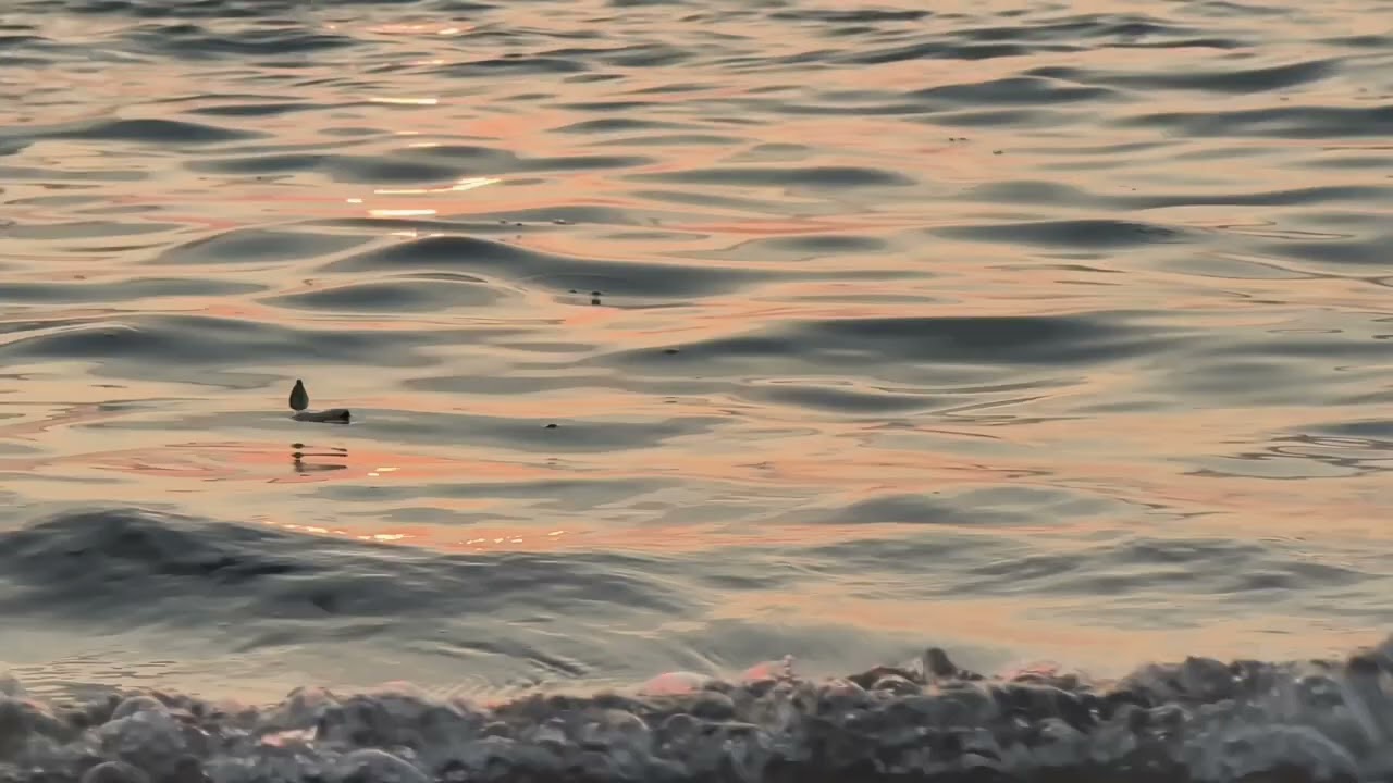 Free Ocean Sunset B-Roll | Cinematic Beach Waves Stock Footage (4K Horizontal 16:9)