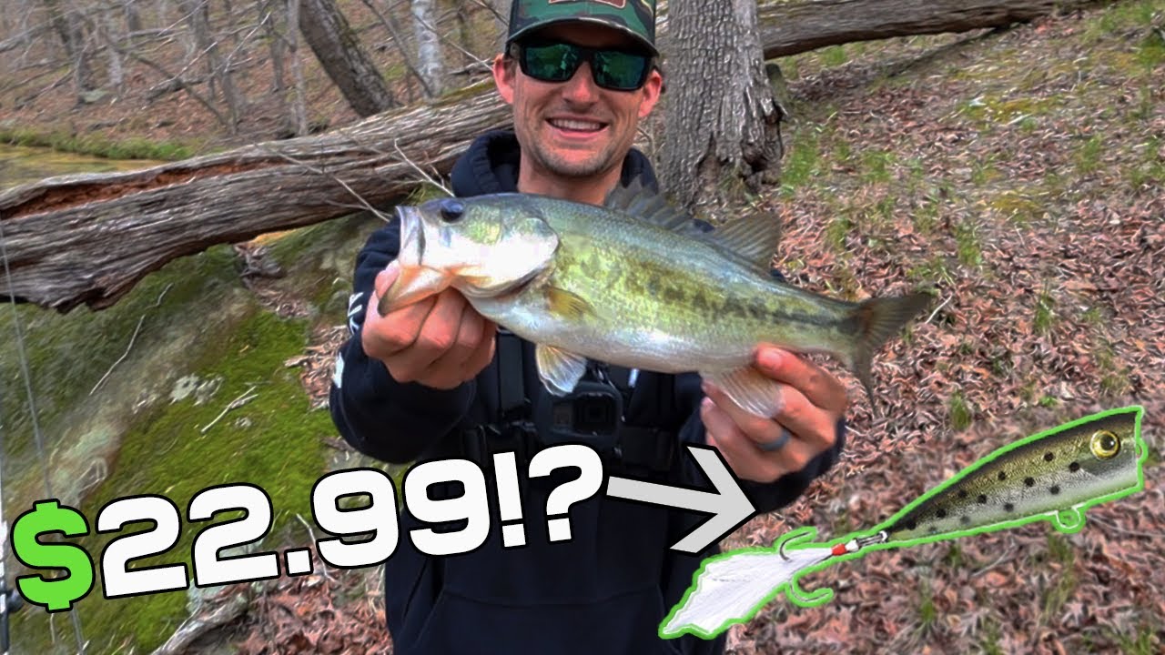 Creek Fishing with the Rico - WORLD'S MOST EXPENSIVE POPPER (topwater blowups)