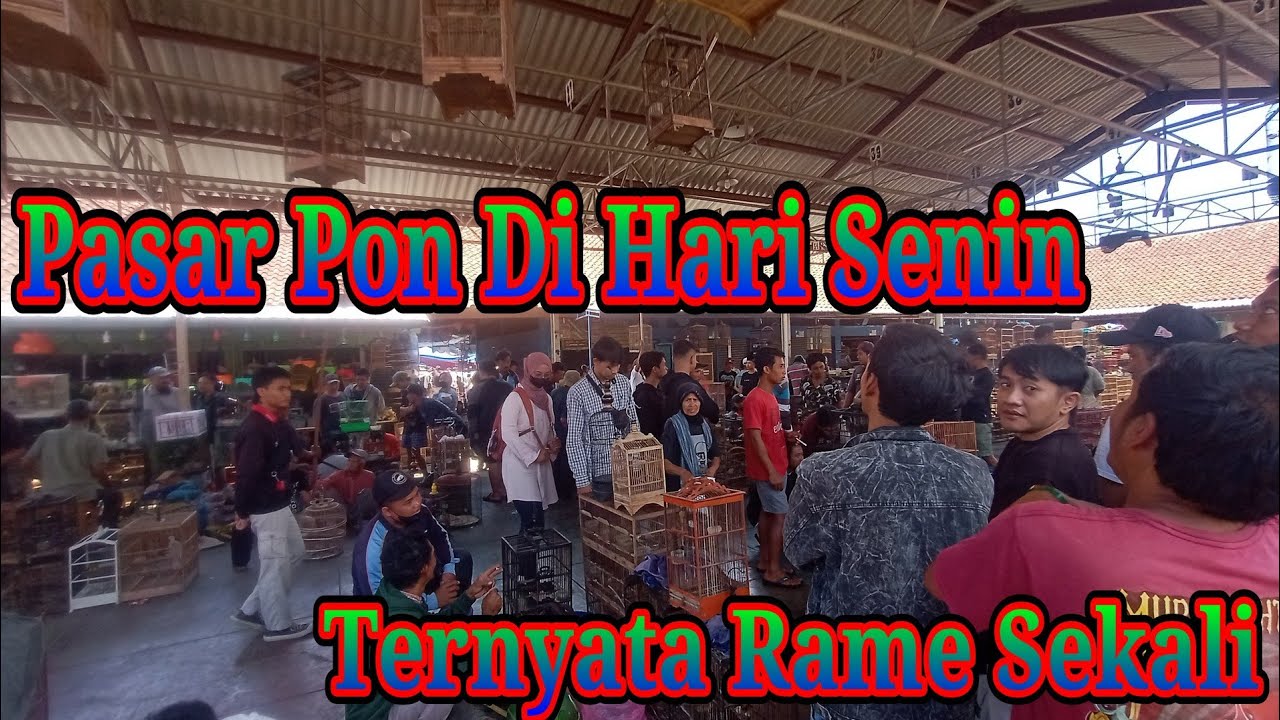 Nikmatin Pasar Pon Ambarawa Saat Hari Senin‼️