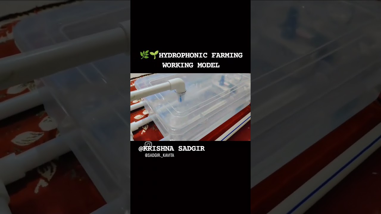 🌿🌱HYDROPHONIC FARMING WORKING MODEL 🌱🌿