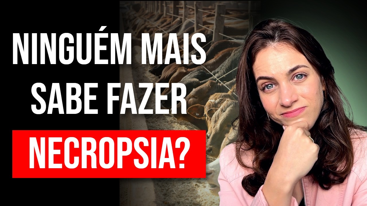 O erro que está afundando a veterinária de campo (e como evitar isso)