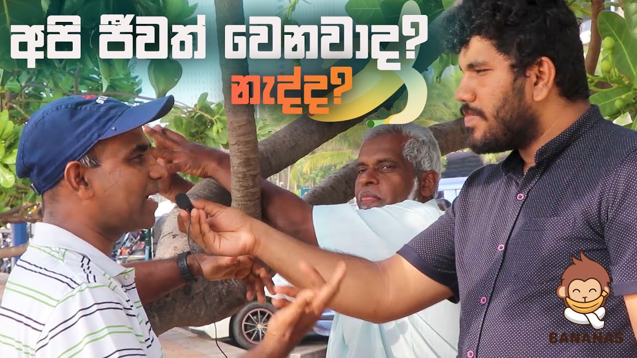 අපි ජීවත් වෙනවද? හෙමිහිට මැ/රෙනවද? | Awkward interviewing | Thadi on Public