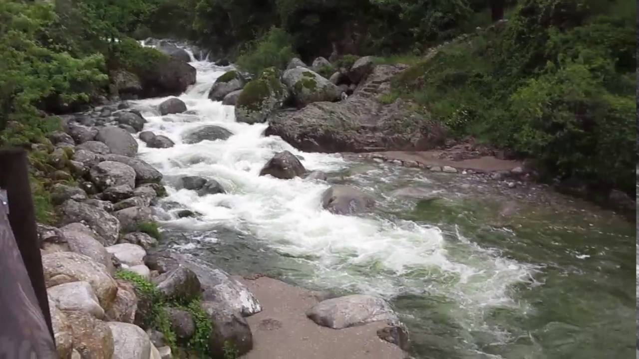 JOYANCO - Rio Pelayo - Guisando mayo 2016