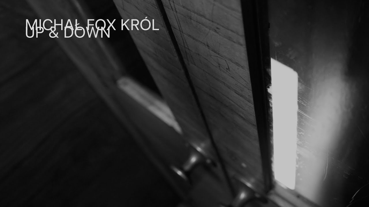 Michał FOX Kr&oacute;l - UP & DOWN (Official Visualizer)