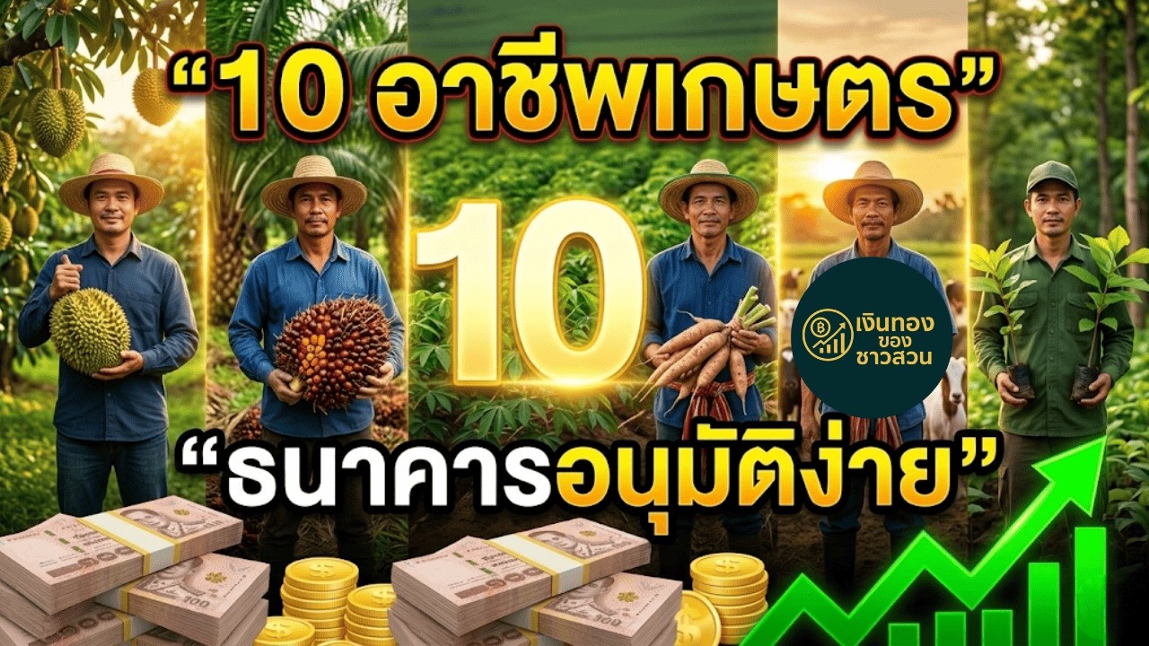 10 อันดับอาชีพเกษตร กู้เงินง่าย! แบงก์รักแบงก์หลง (ทำไมสวนยางถึงกู้ยาก?) เจาะลึกครบจบคลิปเดียว