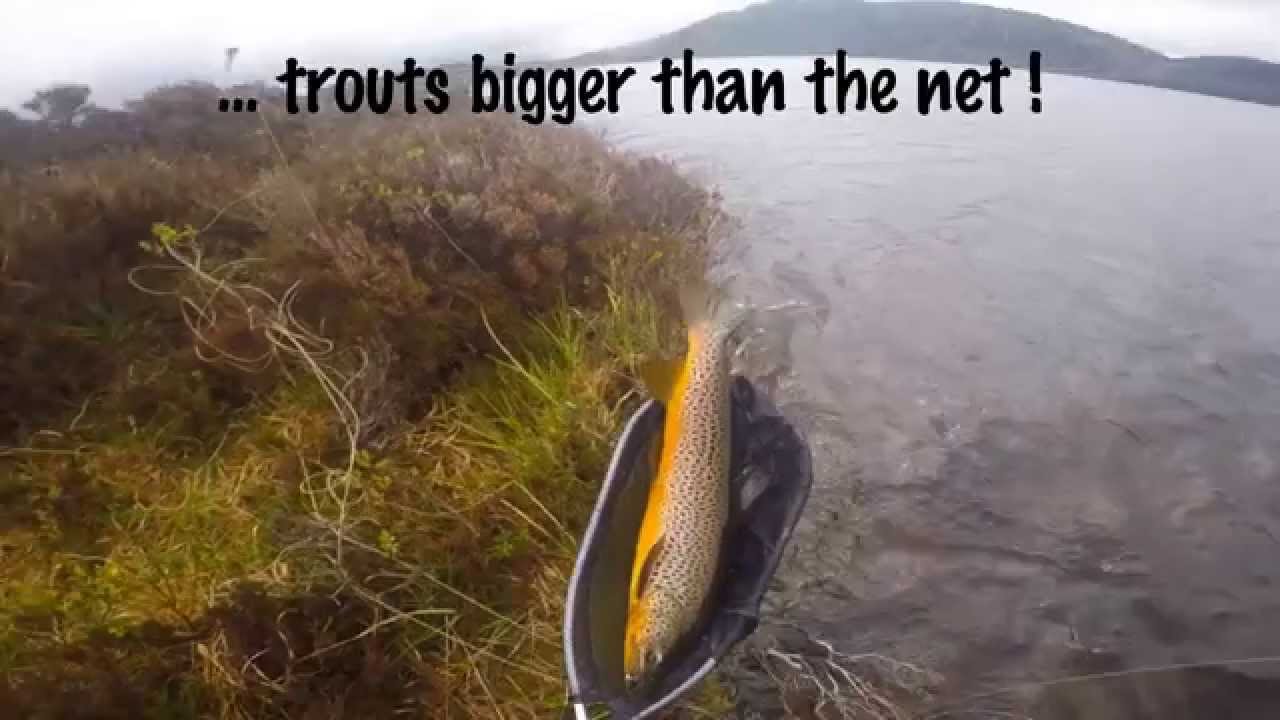 Trout Fishing in Assynt (Scotland) 2015