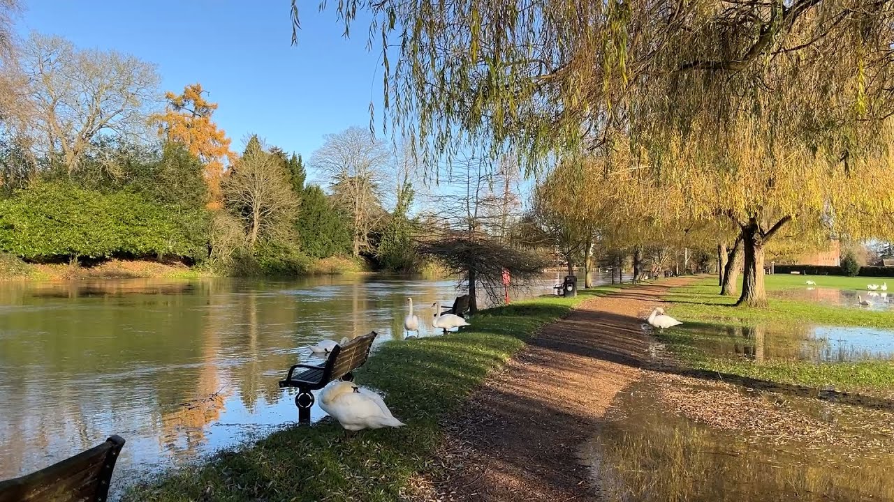 River Avon Winter Walk