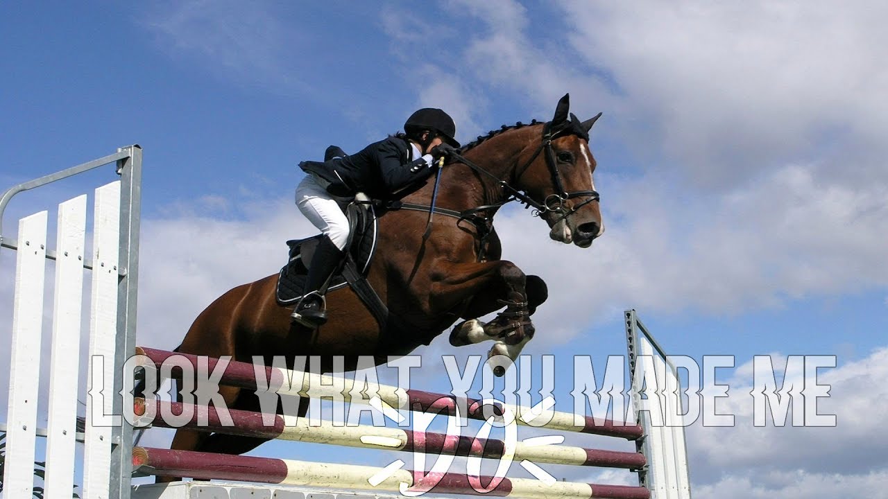 Look What You Made Me Do [Equestrian Riding Fails Music Video]