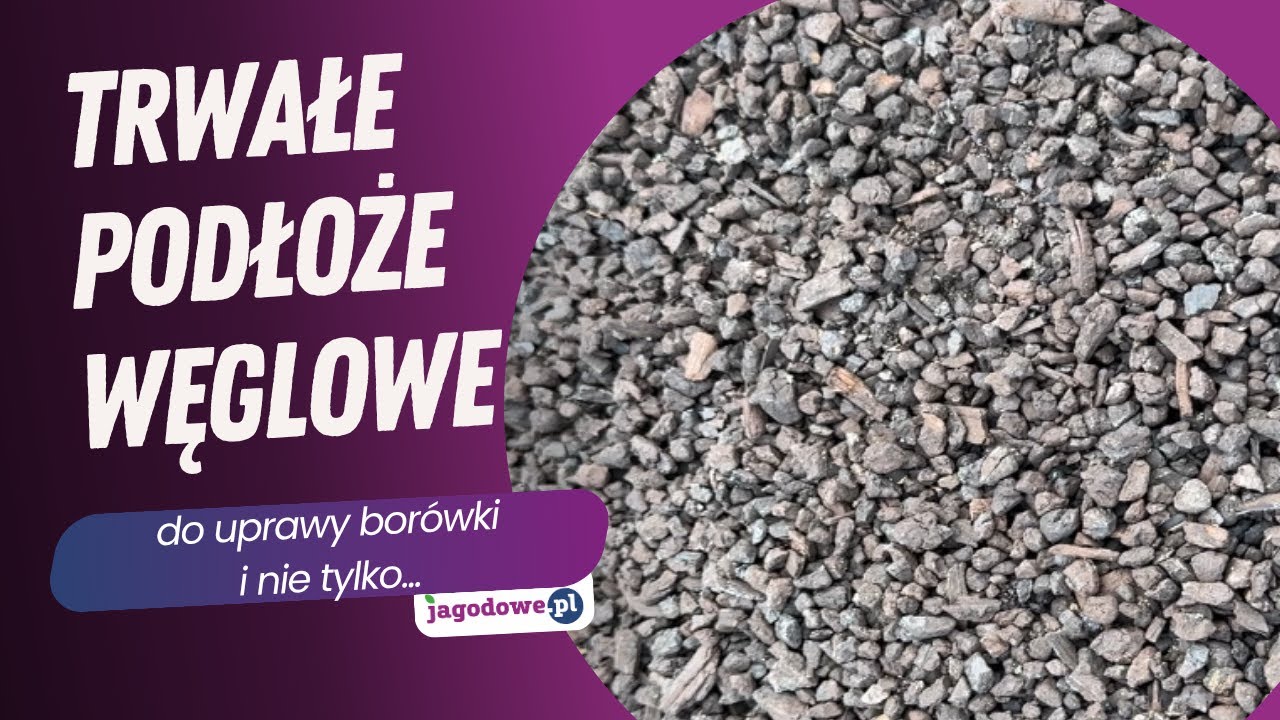 Trwałe podłoże węglowe do uprawy borówek i nie tylko