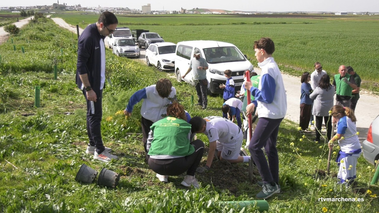 III edición del proyecto de Ayto. y Taller Verde junto a centros educativos de ´Plantando Vida´