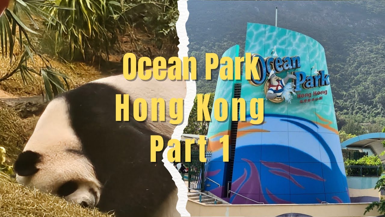 Dive into the adventure at Ocean Park Hong Kong Part 1! #hongkong #hongkongtravel #oceanpark