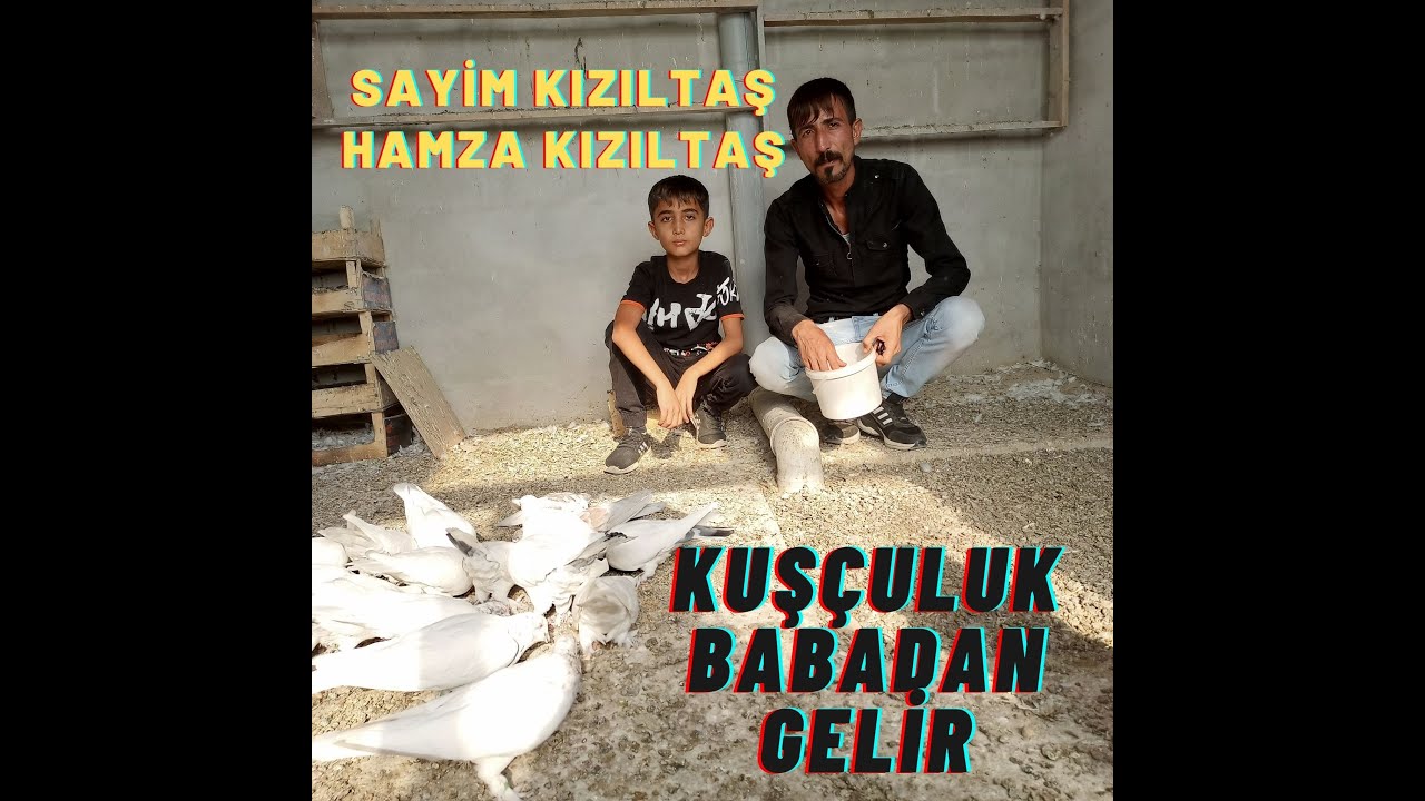 sayim kızıltaşın misafiri olduk çekirdekten yetişiyor küçük hamza
