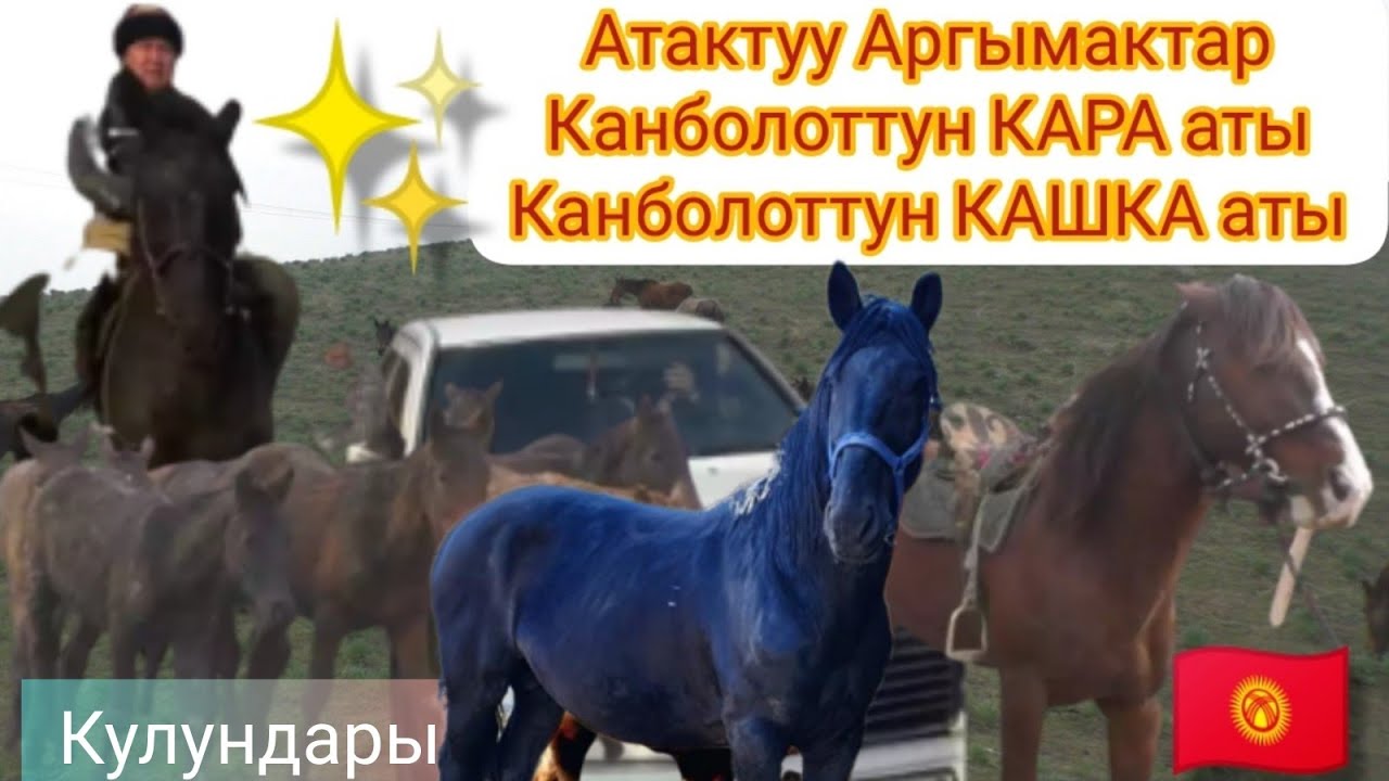 Канболот мырзанын АРГЫМАКТАРЫ менен танышабыз