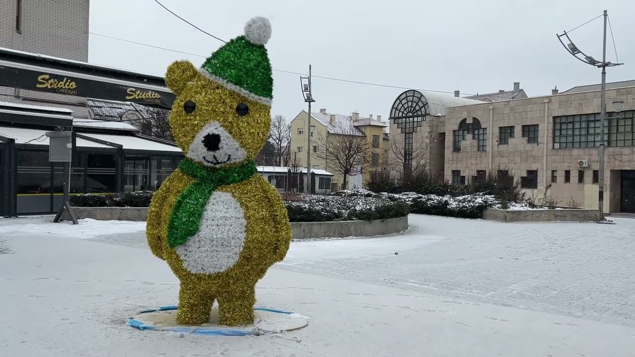 Negotin Januar 2026