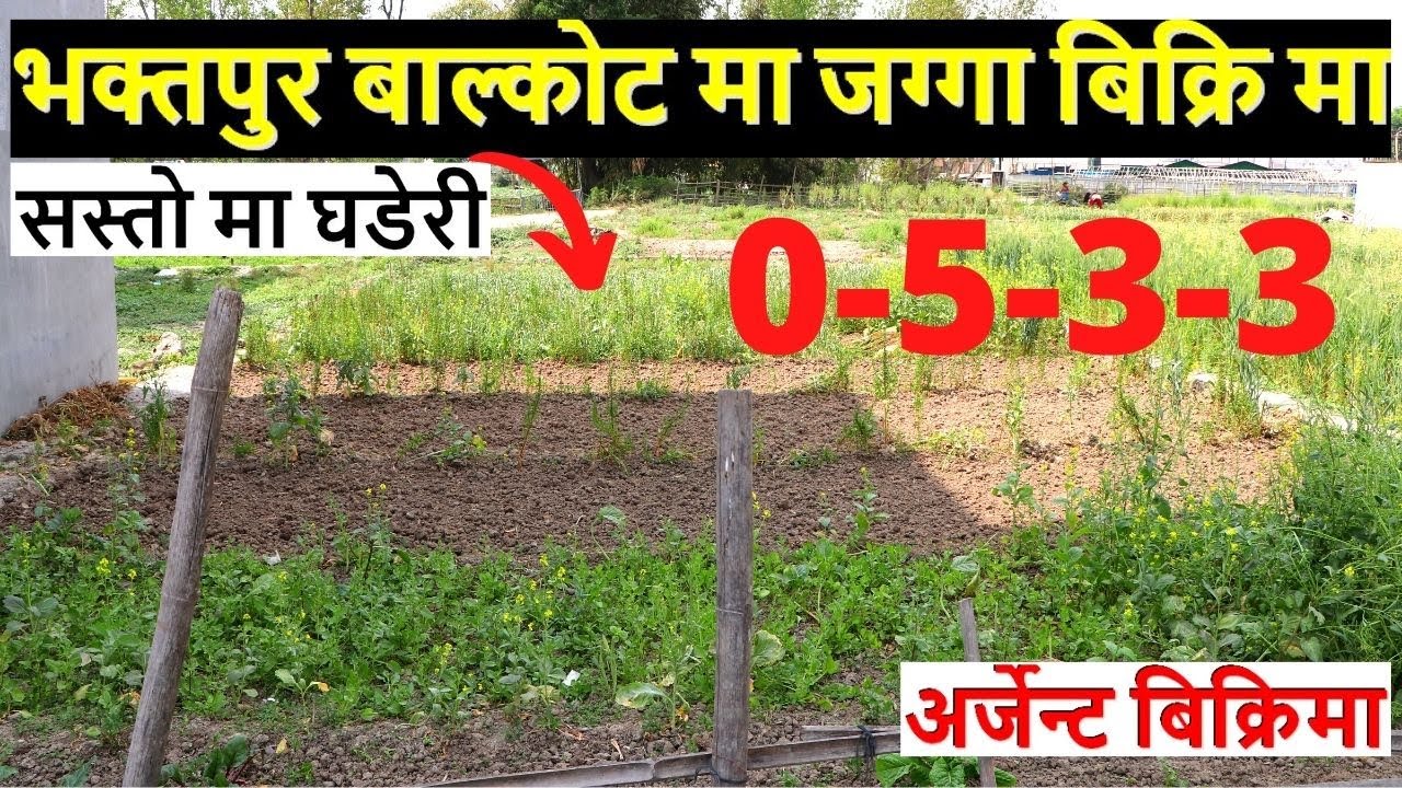 भक्तपुर को बाल्कोट मा राम्रो जग्गा बिक्रि मा land on sale in balkot bhaktapur nepal | real estate