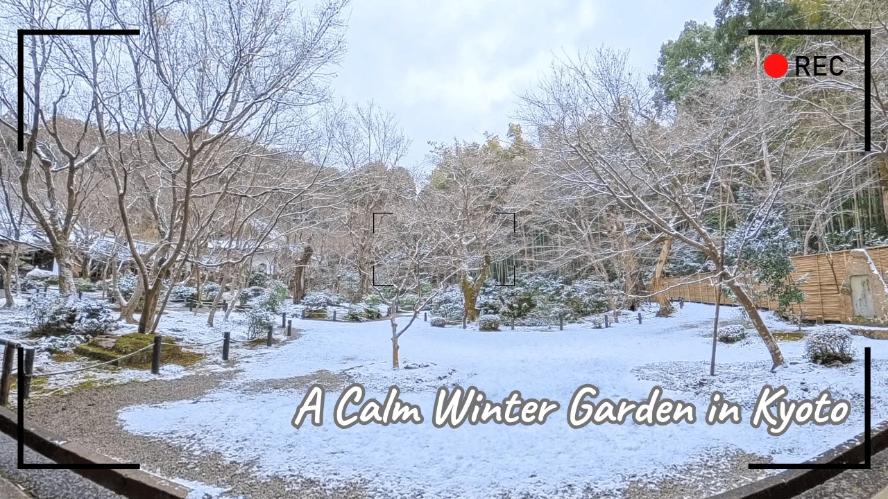 A Calm Winter Garden in Kyoto