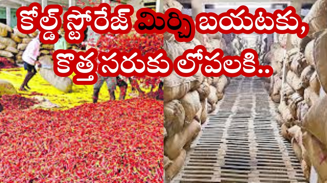 కోల్డ్ స్టోరేజ్ మిర్చి బయటకు, కొత్త సరుకు లోపలకి.