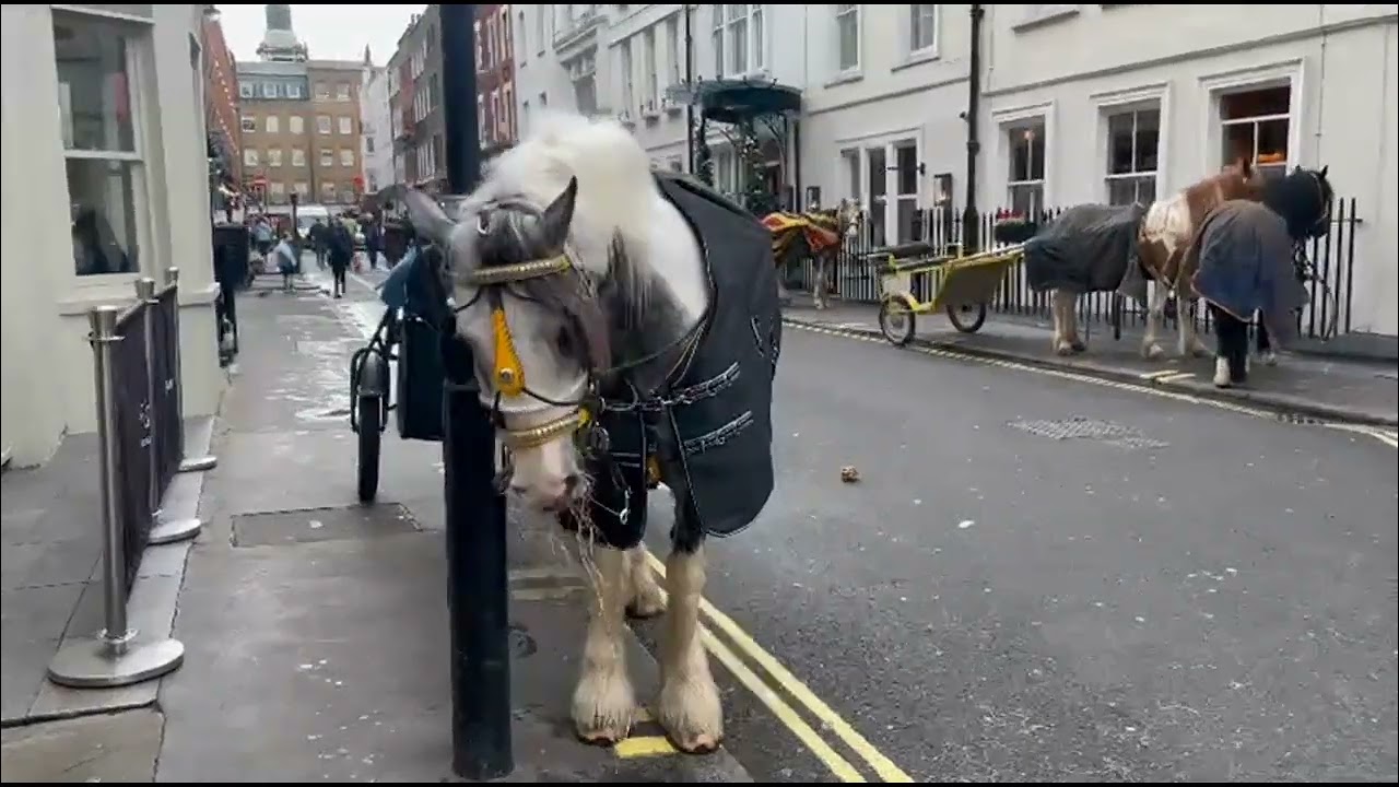 London Christmas Drive 2025 - by Guilem Seguin