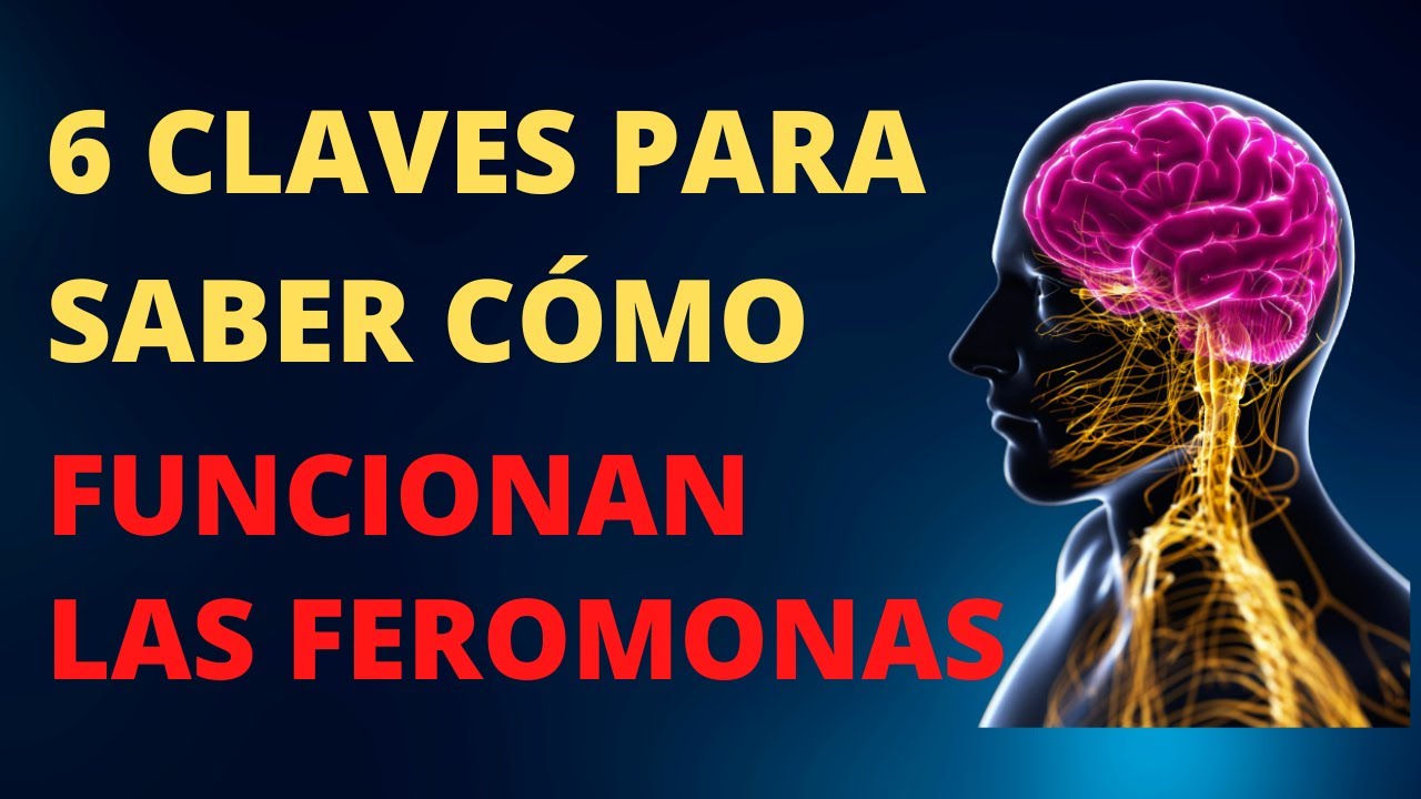 💥6 CLAVES PARA SABER COMO FUNCIONAN LAS FEROMONAS💓