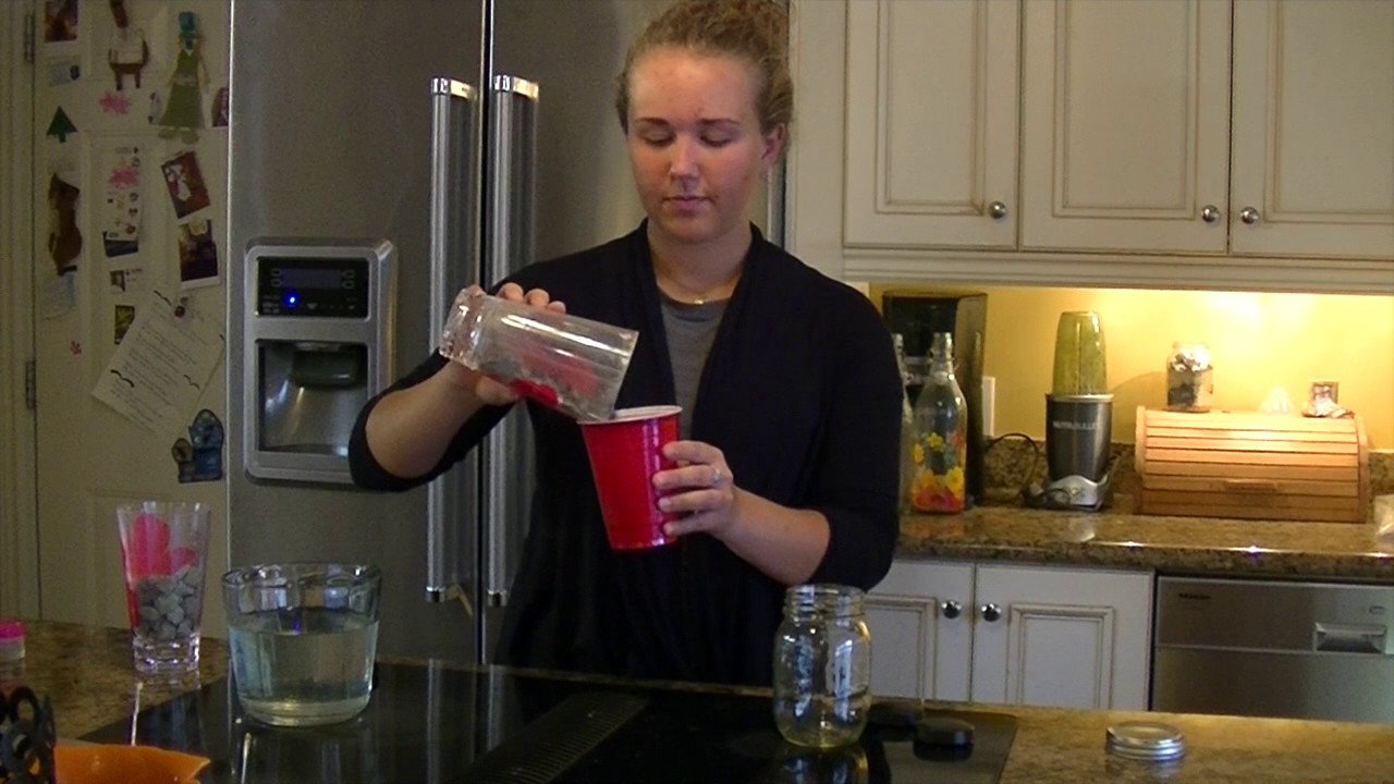 How to make Algae Biofuel DIY