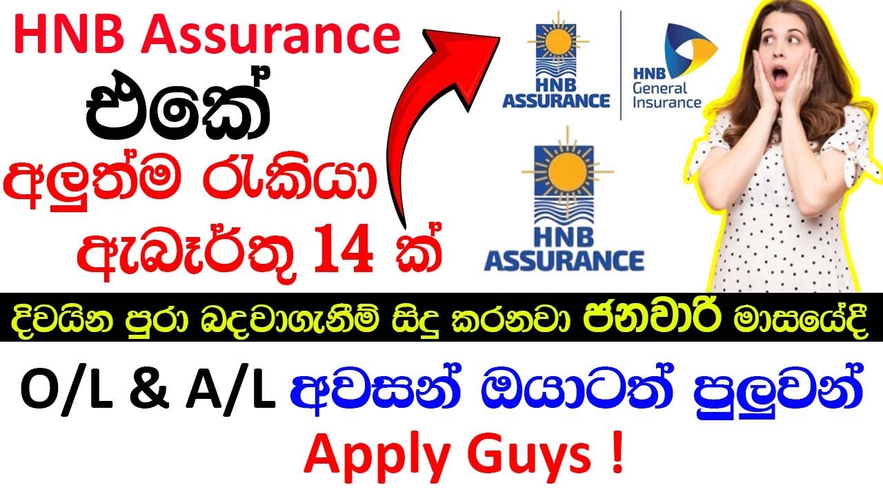 HNB Assurance Job Vacancy 2026