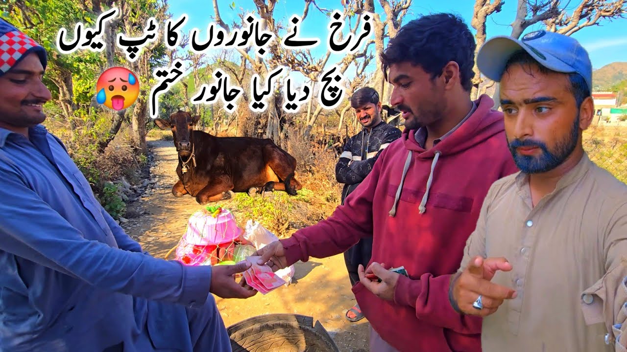 Kia Janwar Khatam Kar Rahy Hai 🥵 Village Life Daily Routine MB Vlogs 