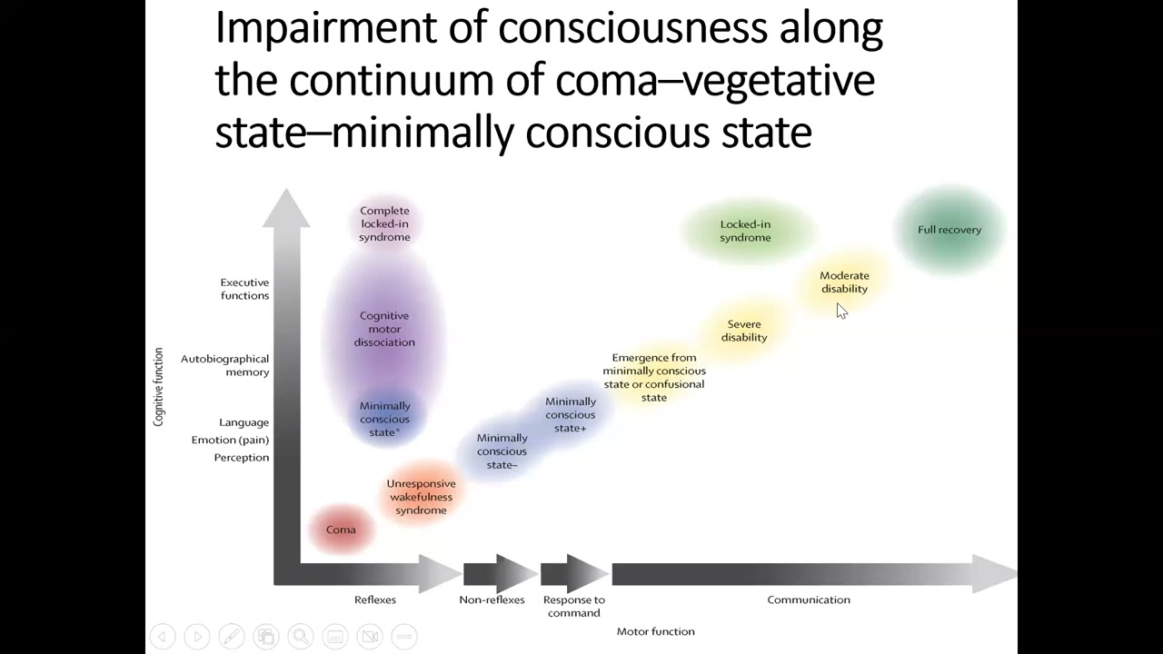 KNH-UoN Webinar : Approach to a Comatose Child